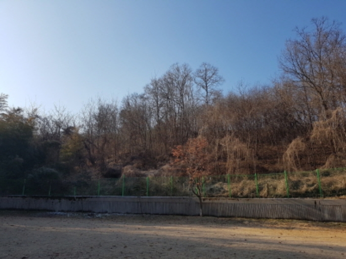 동쪽에서의 전경 (1)