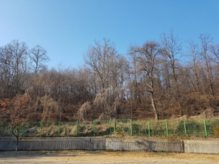 동쪽에서의 전경 (2)