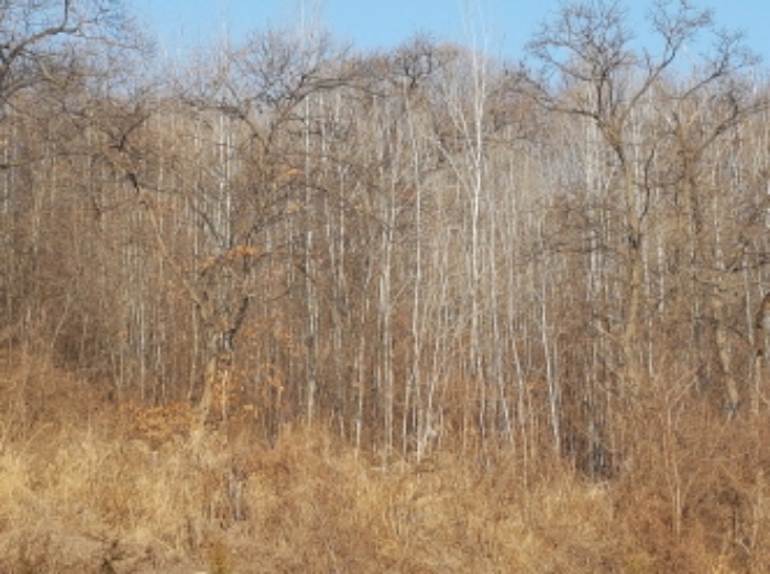 동쪽에서의 전경 (4)