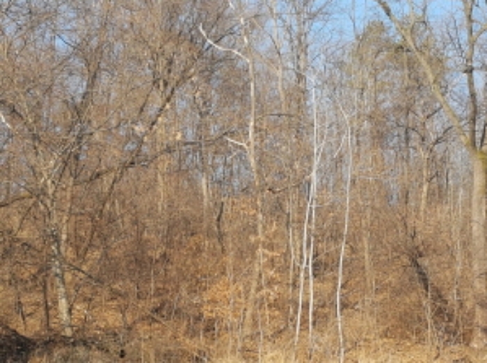 동쪽에서의 전경 (5)