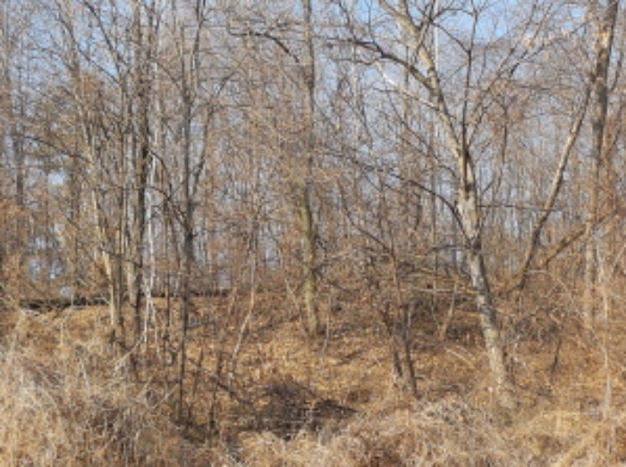 동쪽에서의 전경 (6)