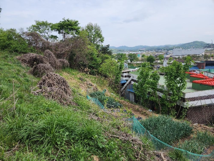 본건 기호 (1) 타인점용부분 전경