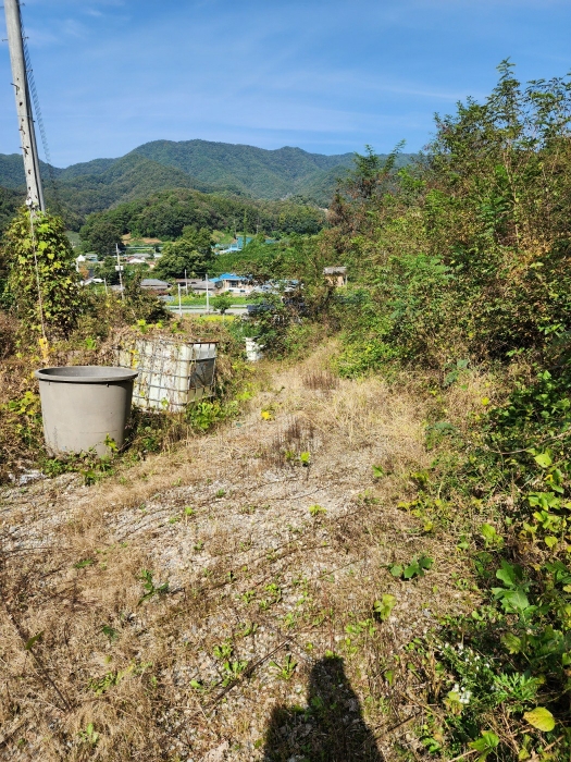 일련번호 (4) 토지 전경