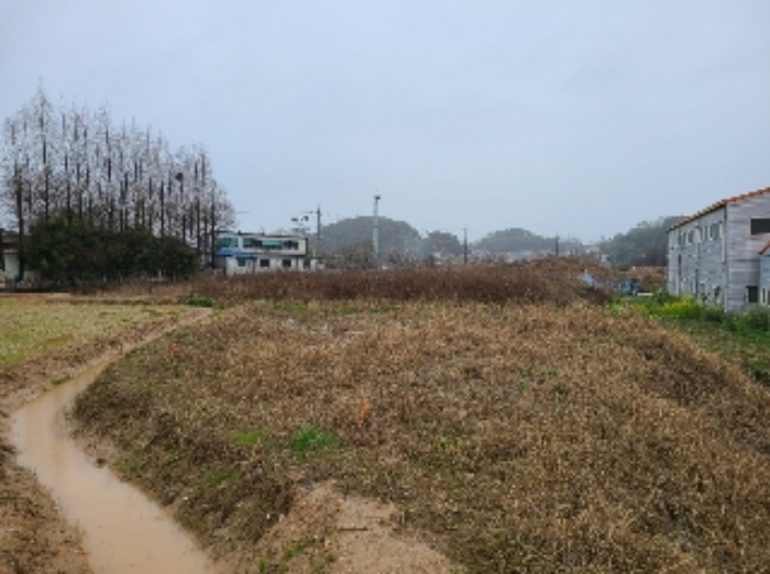 월출동 91