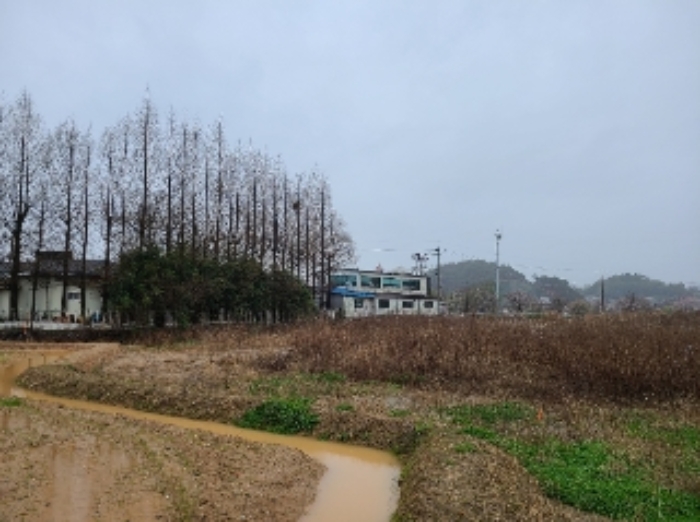 월출동 92