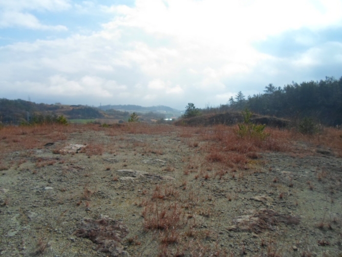 기호 1 서측에서 촬영