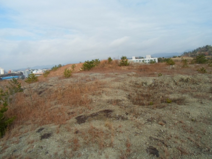 기호 2 남측에서 촬영