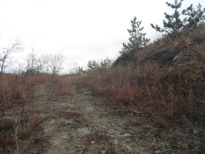 기호 2 북서측 진입로 부분