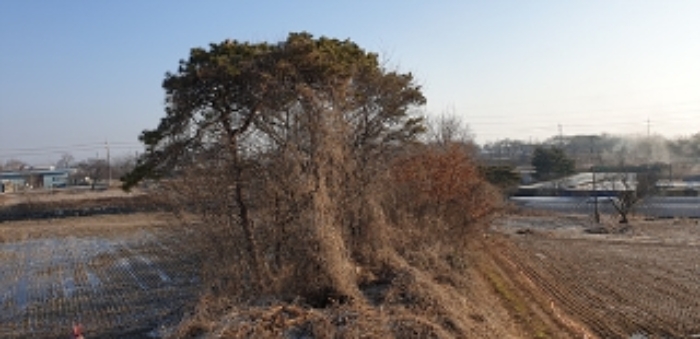 6번 부동산 현황 `임야` 전경(7번 부동산 주태 옥상에서 촬영한 모습)