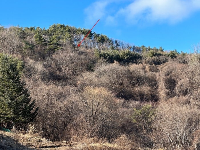 본건 일련번호 2) 전경