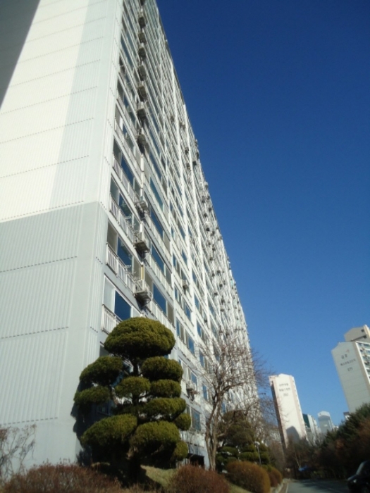 255동 건물 현황