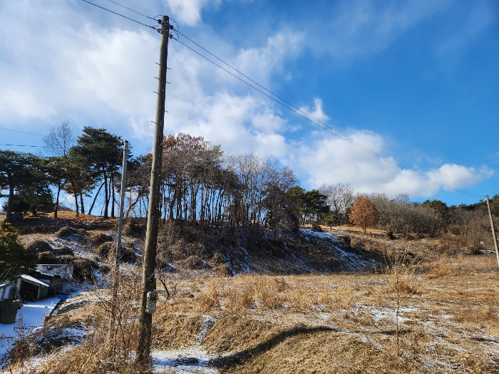 본건 기호(1) 전경