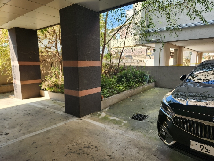 본건 토지 바닥포장 및 화단, 제시외 수목(평가 외)