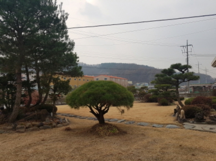 전경 (9)