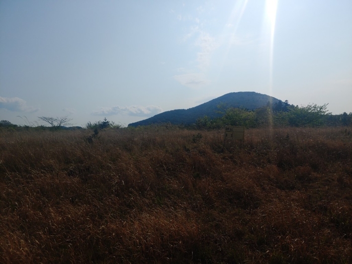 본 건 전 경