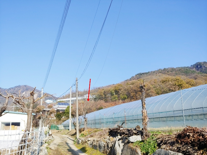 주변 전경