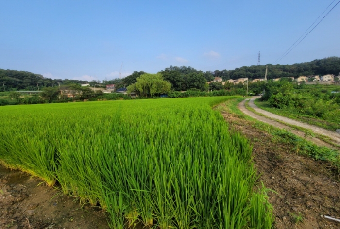 본건 주변