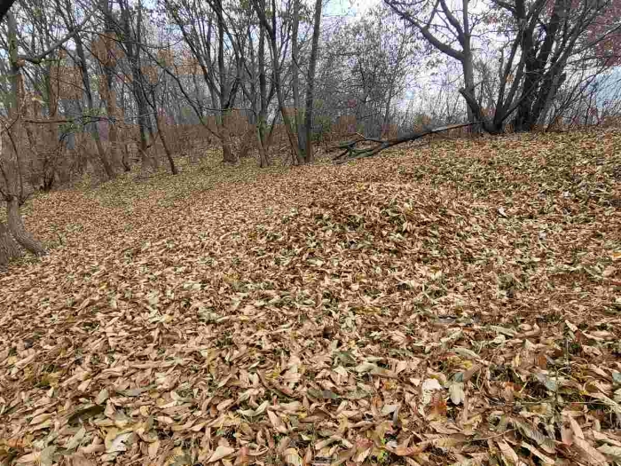 제시 목록 부동산 (제시 외 봉분)