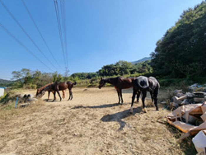 전경사진3