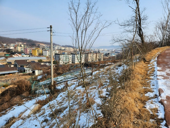 [주변 전경]