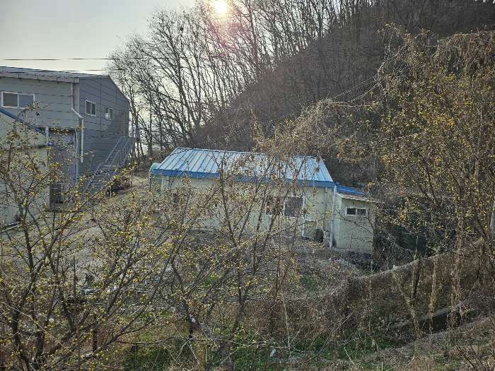 본건 북동측 인근에서 남서측방향 촬영