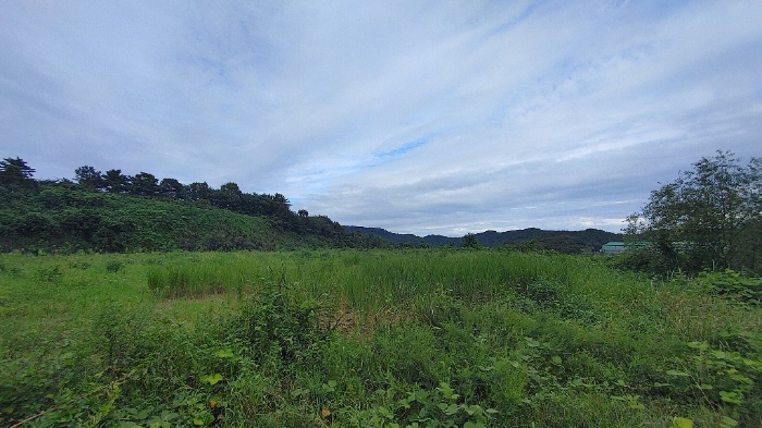 본건 전경
남서측에서  북동측으로