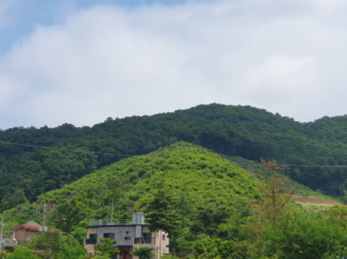 제시 목록 전경(남측)