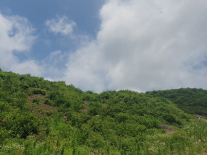 목록2. 전경(동측)