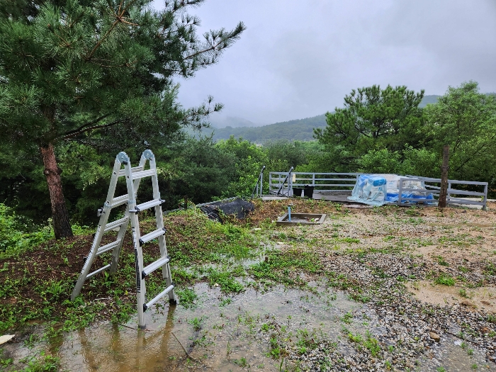 기호(2) 북동측 부분 전경(남서측에서 촬영)