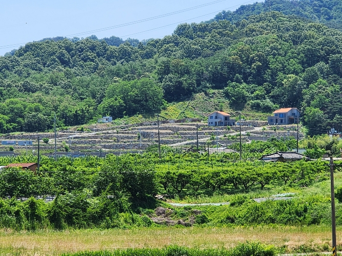 조성택지단지 서측 원경