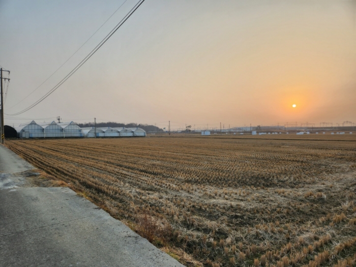 기호2 주위전경