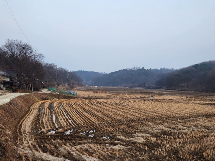기호1 주위전경
