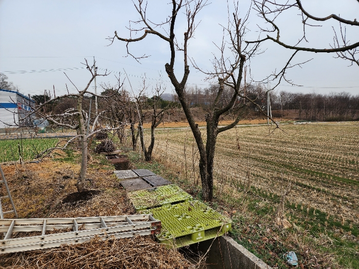 기호3 남측 지