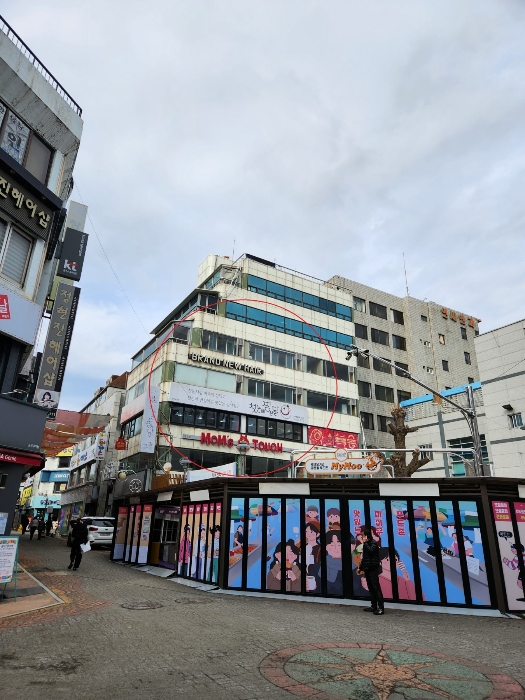 본건의 전경
남서측에서 북동측을 향하여 촬영