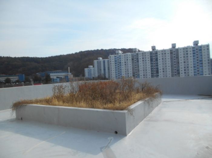 옥상 모습 (1)