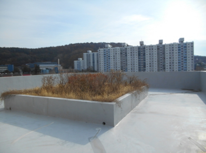 옥상 모습 (2)