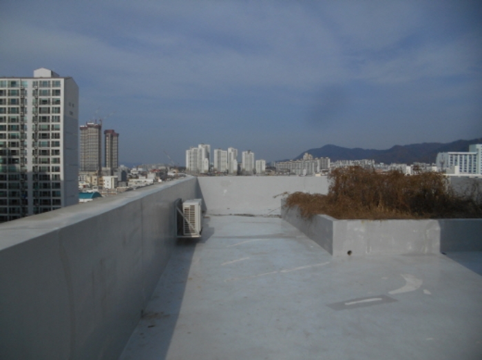 옥상 모습 (4)
