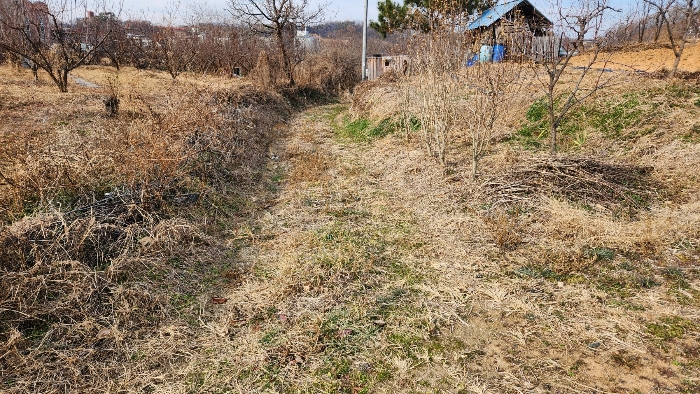 본건 남동측 진입도로