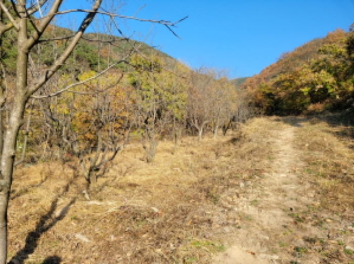 천평리 52 전