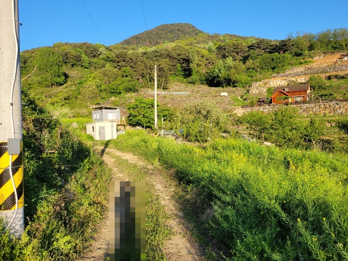 본건 주위 전경