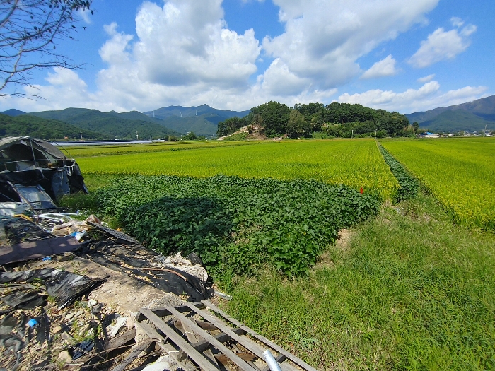 【 본 건 전 경