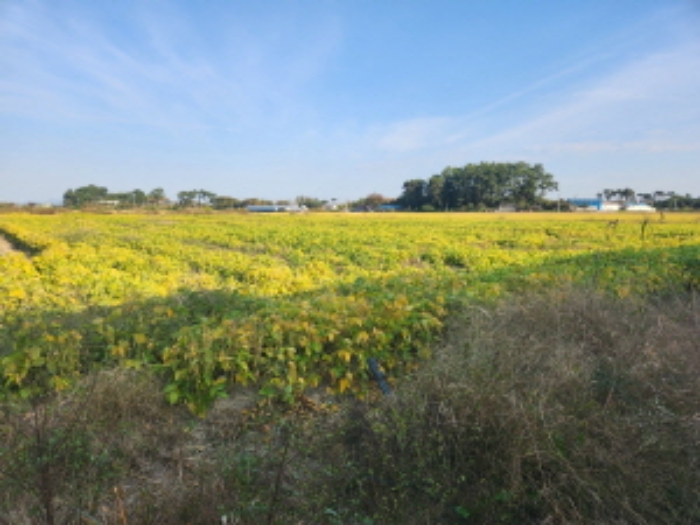 부동산표시 제2호