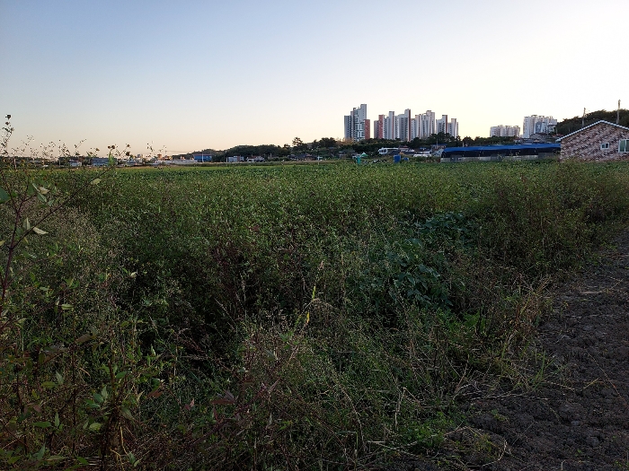 기호(2) 동측에서 서측으로 촬영