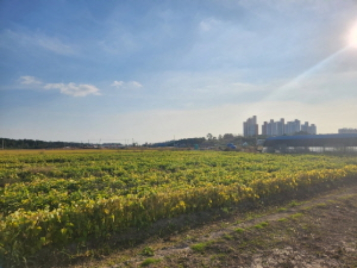 부동산표시 제2호