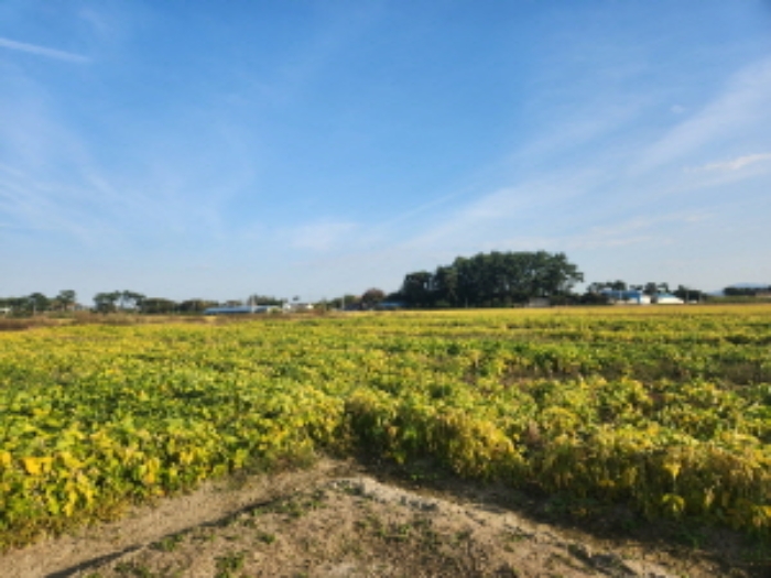 부동산표시 제2호