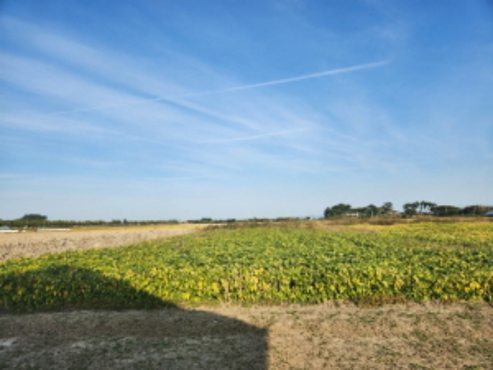 부동산표시 제2호