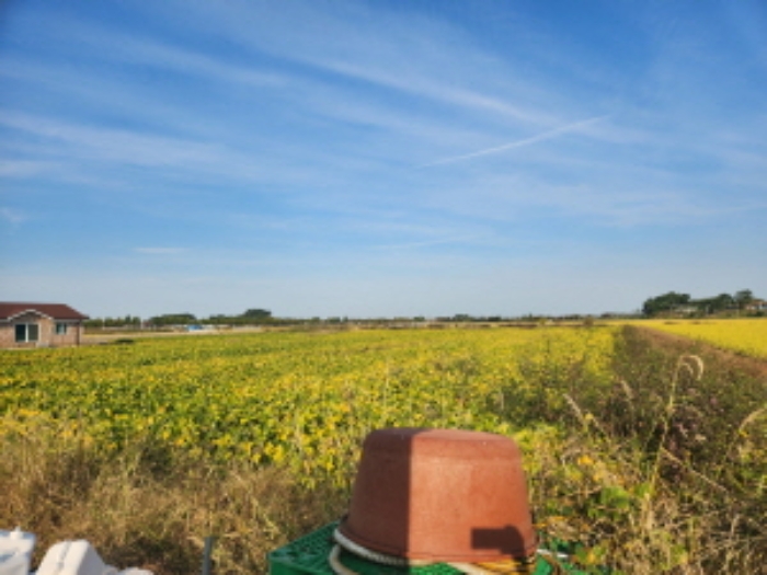 부동산표시 제1호