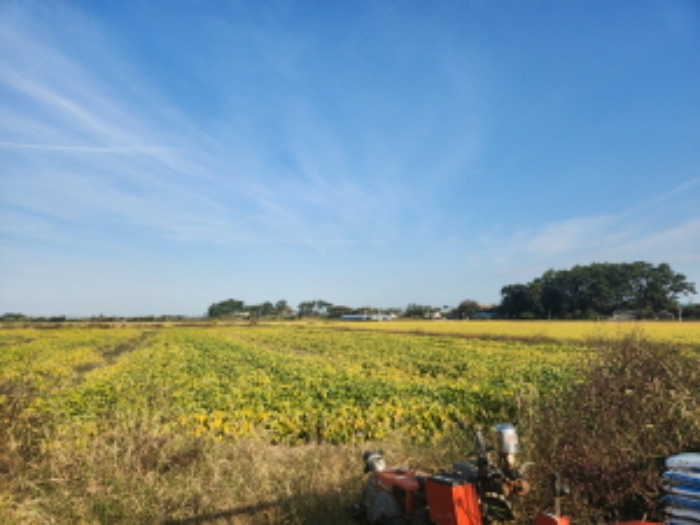 부동산표시 제1호