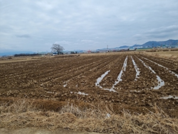 본건 부동산 전경