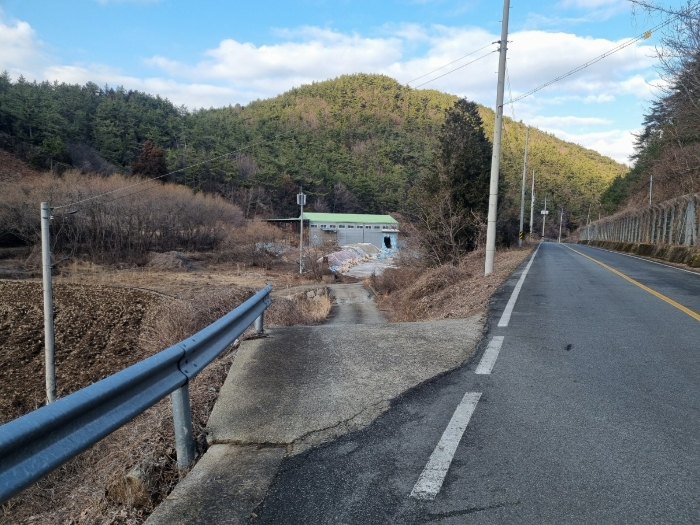 본건 사진